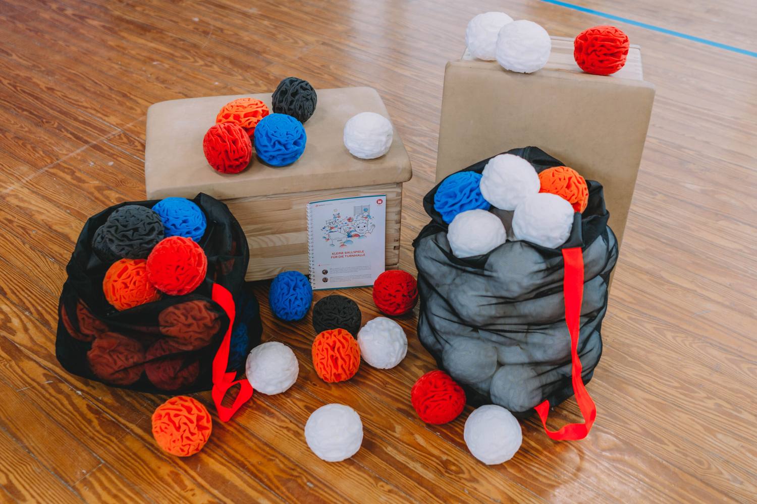 Ball school set with nets, coloured snowballs and a booklet of games