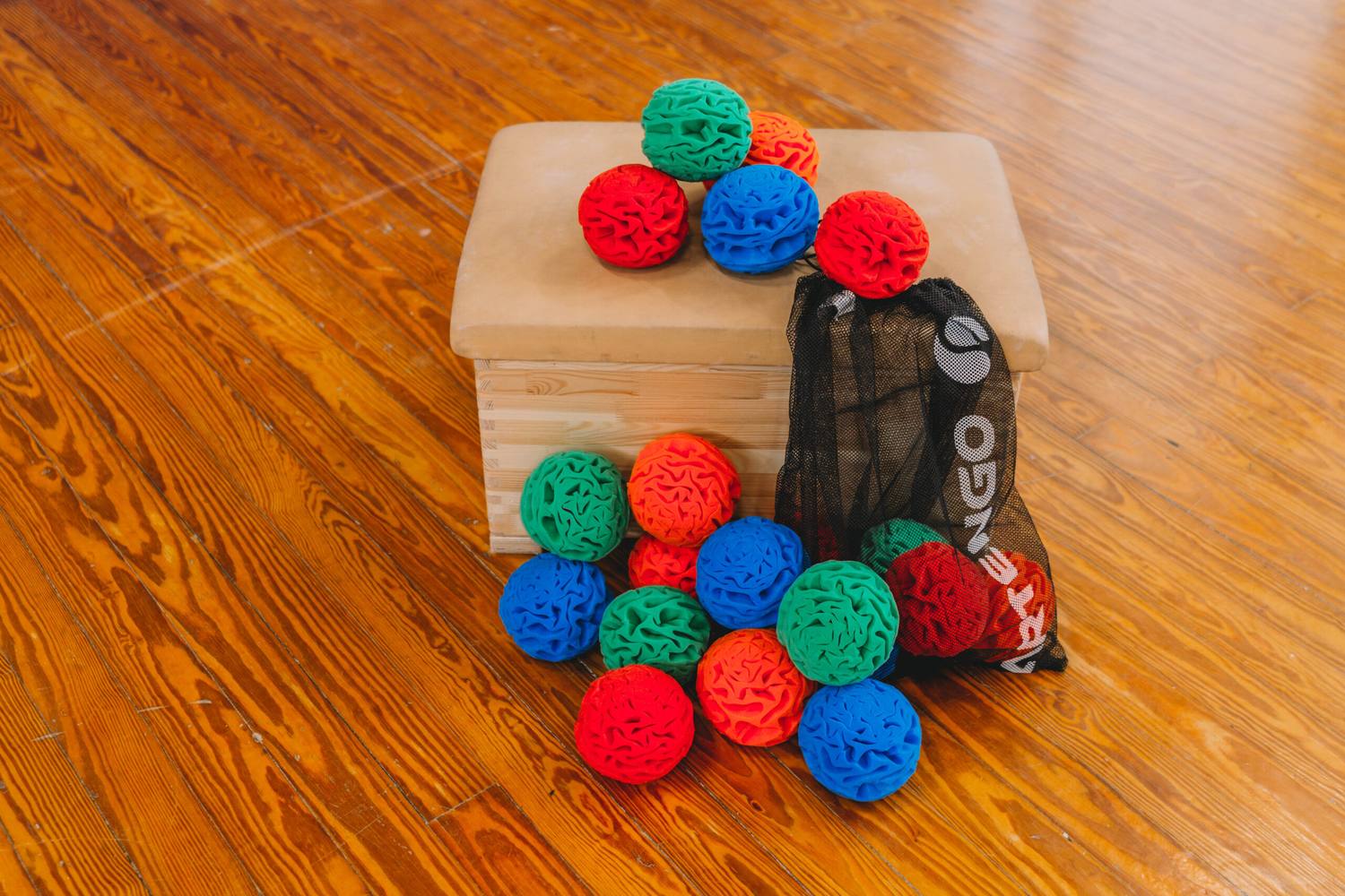 Dry Snowballs in red, orange, blue and green with a ball net